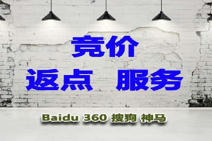 SEM专员案例：数据分析与优化